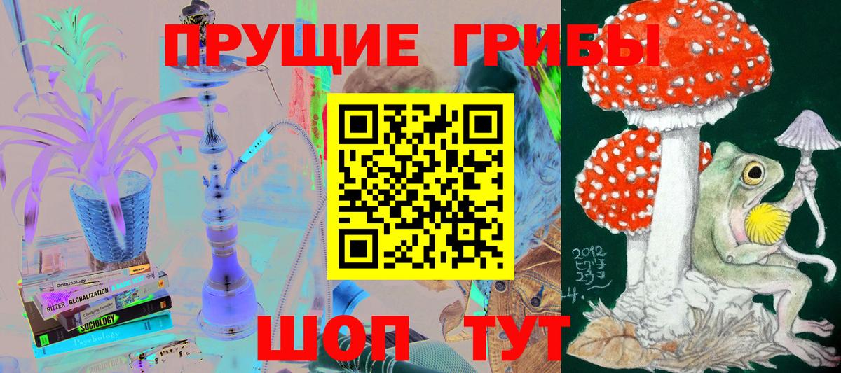 Клин  Галлюциногенные грибы GOLDEN TEACHER  Вход с VPN  Галлюциногенные грибы мицелий 
