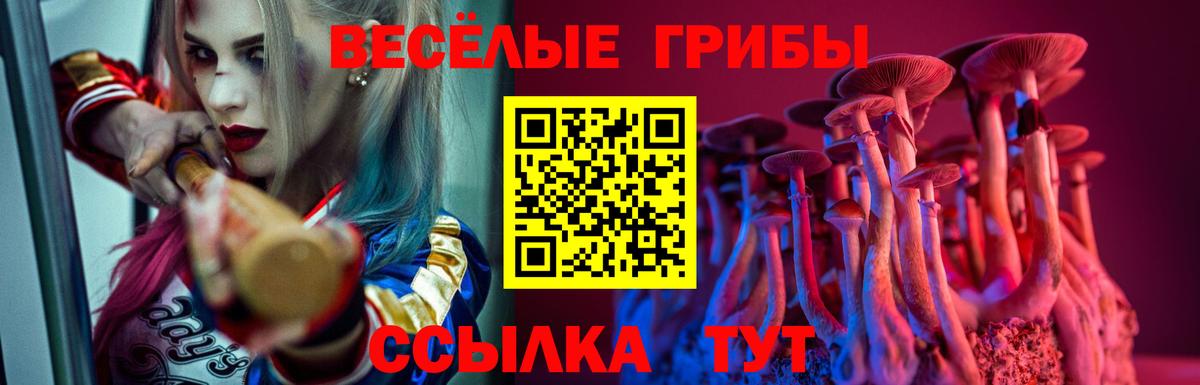 Галлюциногенные грибы Psilocybine cubensis Клин